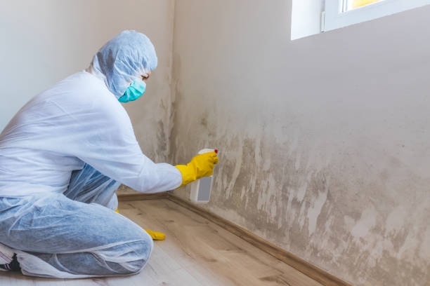 Licensed Commercial Mold Remediation service in Warrington, FL - WQB Mold Removal