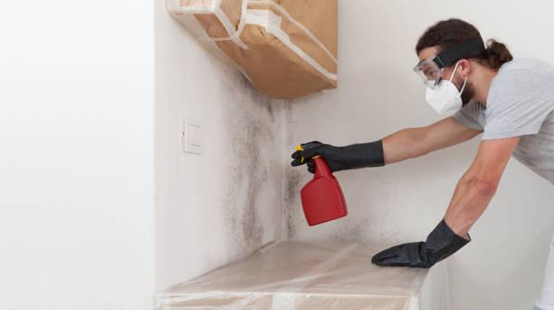 Professional Commercial Mold Remediation technician working in Warrington, FL