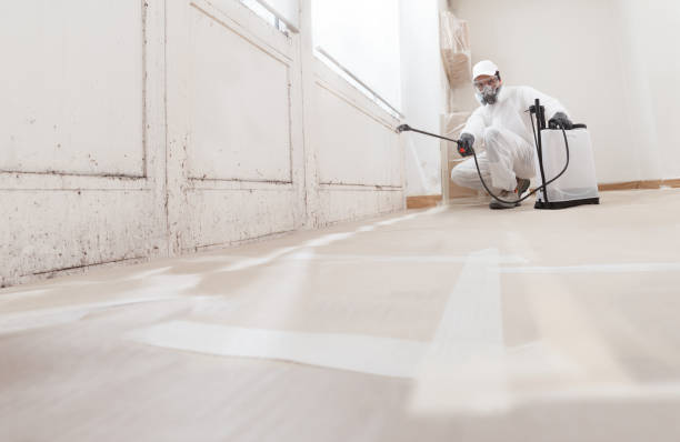 24/7 Emergency Commercial Mold Remediation experts in Warrington, FL