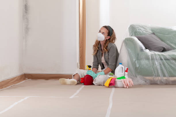 Reliable Commercial Mold Remediation contractor in Warrington, FL by WQB Mold Removal